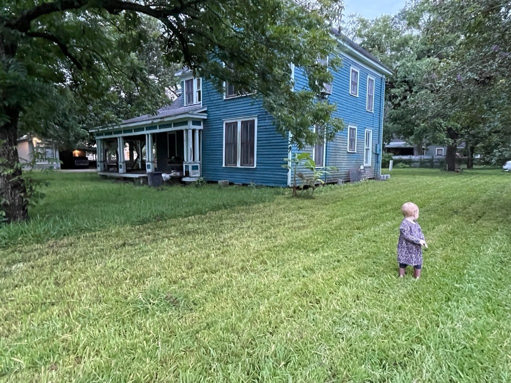 The pros and cons of a big&nbsp;yard